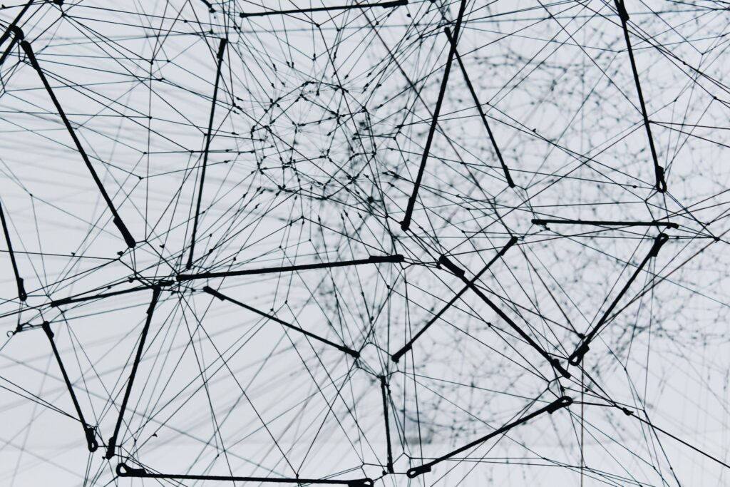 Training a Self Organizing Feature Map Network